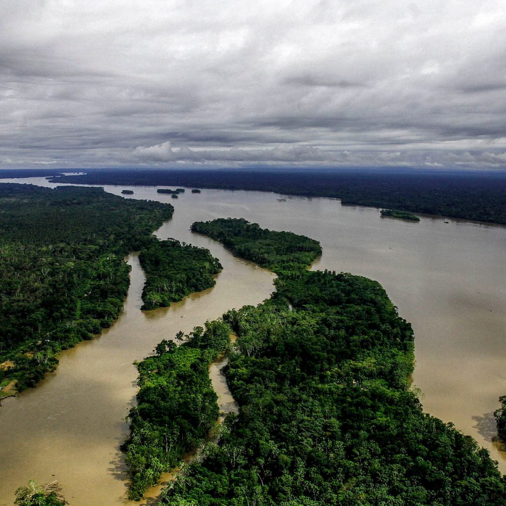 amazonas